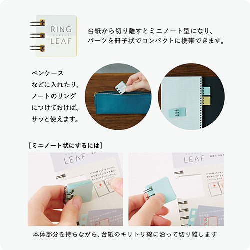 Kanmido Ring Leaf Mizuiro