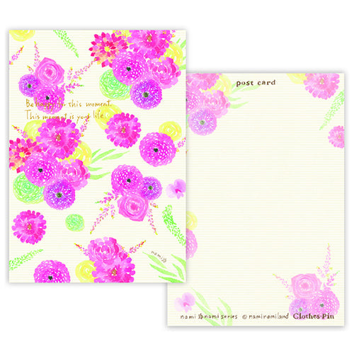 Clothes-Pin Nami Nami Astilbe Arendsii Postcard PC14367