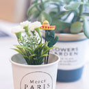 Artificial Plant (Herb/GR/16cm)