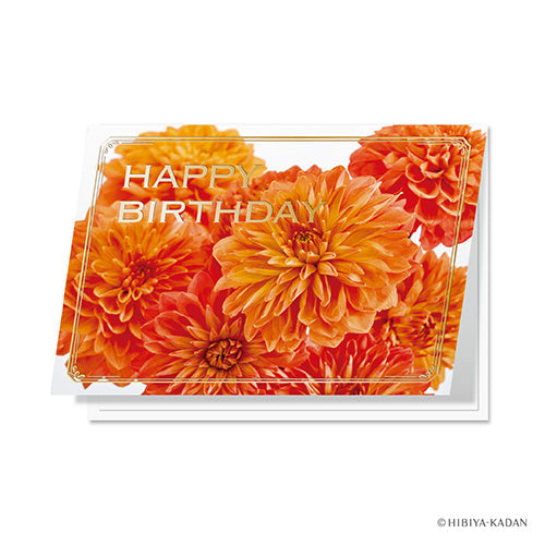 Daigo Greeting Card Happy birthday Dahlia