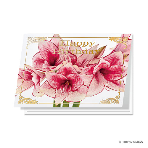 Daigo Greeting Card Happy birthday Amaryllis