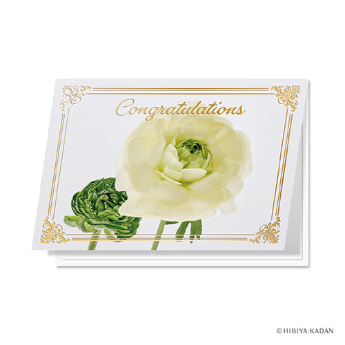 Daigo Greeting Card Congratulations Ranunculus