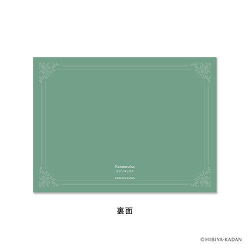 Daigo Greeting Card Congratulations Ranunculus
