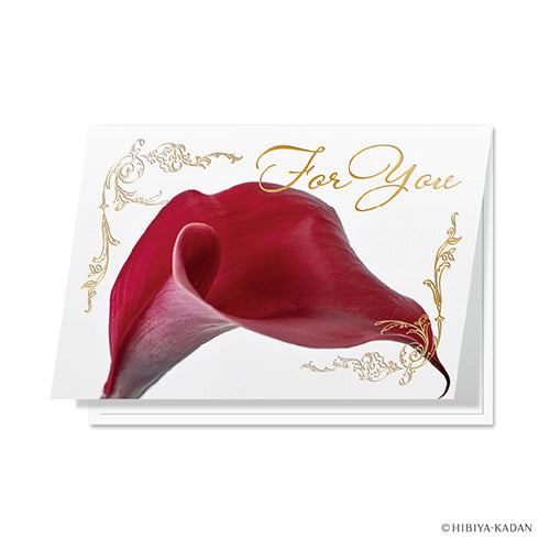 Daigo Greeting Card For you Color