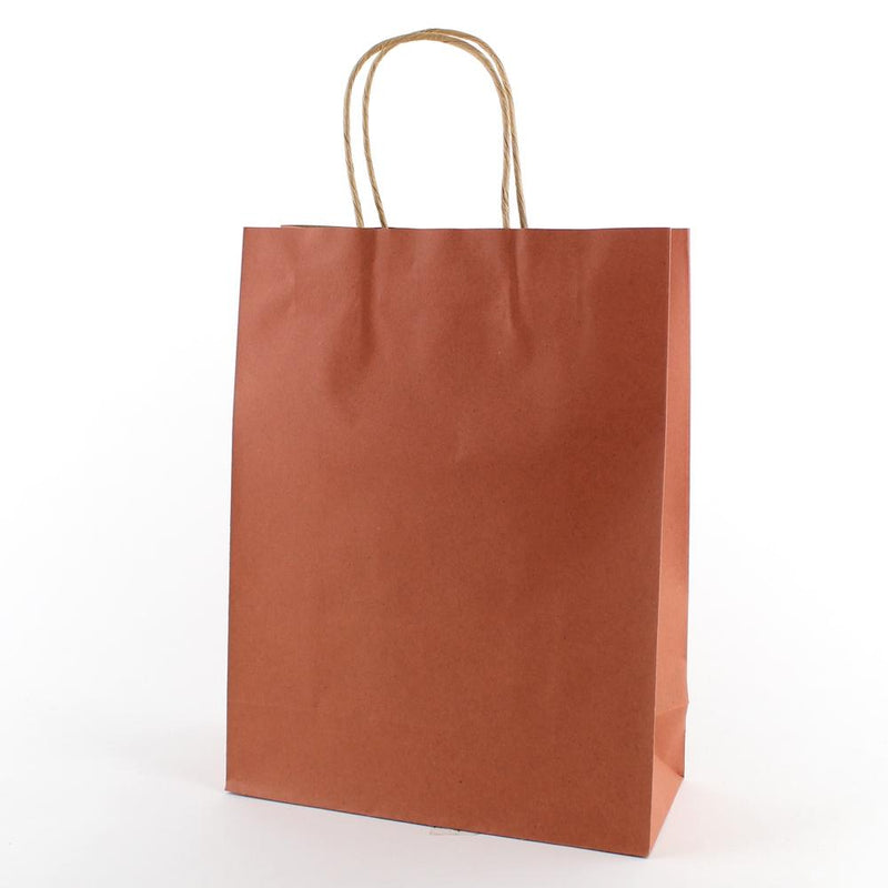 Gift Bag (Paper/PK*BL/30x23x10cm (2pcs))
