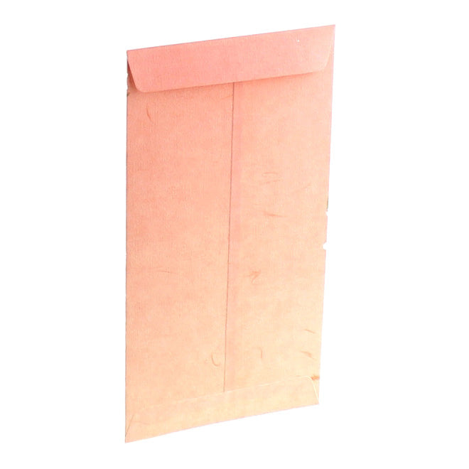 Japanese Money Envelope (Celebration/Cherry Blossom/17x9cm (3pcs))