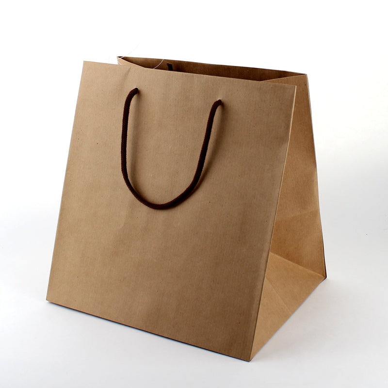 Cake Bag (Kraft Paper/24x28x30cm)