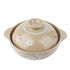Earthenware Pot