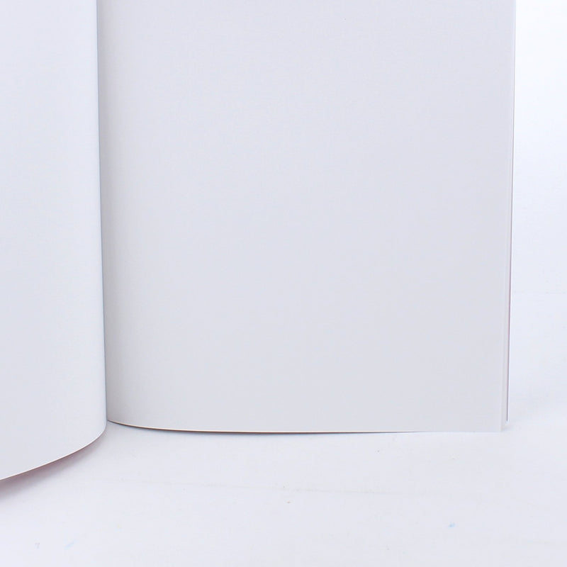 Aurora Unicorn Blank Notebook