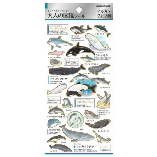 Stcikers (Sea Animals/Sheet: 20x9cm/1 Sheet/Feuille/Kamio Japan/Otonano-Zukan/SMCol(s): Multicolour)