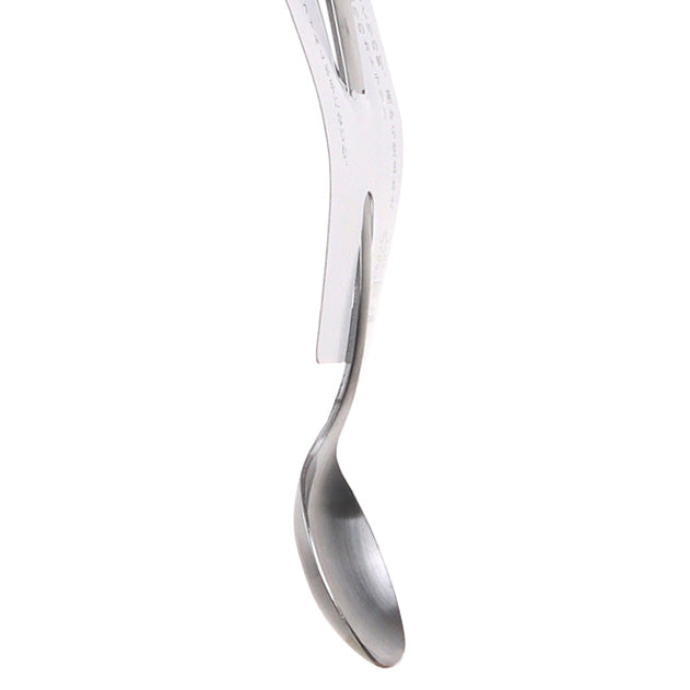 Spoon (Stainless Steel)