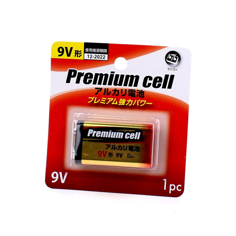 Alkaline 9V Battery