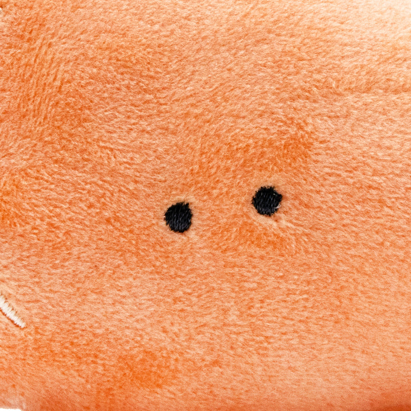 Plushie (Key Chain/Cute Eyes Bento Box: Grilled Salmon/Palm Size/15x7cm/Yell/SMCol(s): Orange)
