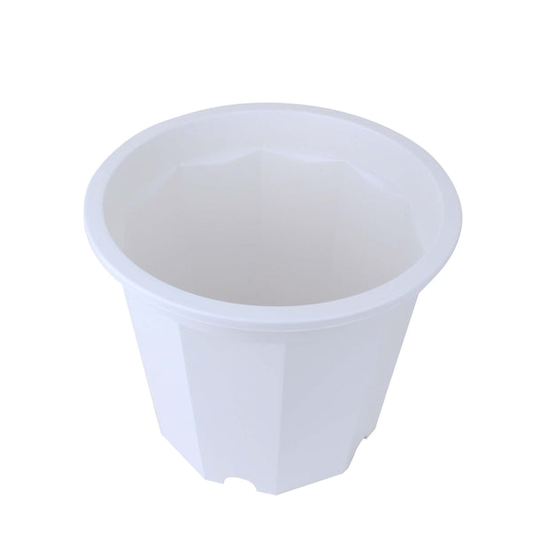 White Decagonal Planter Pot