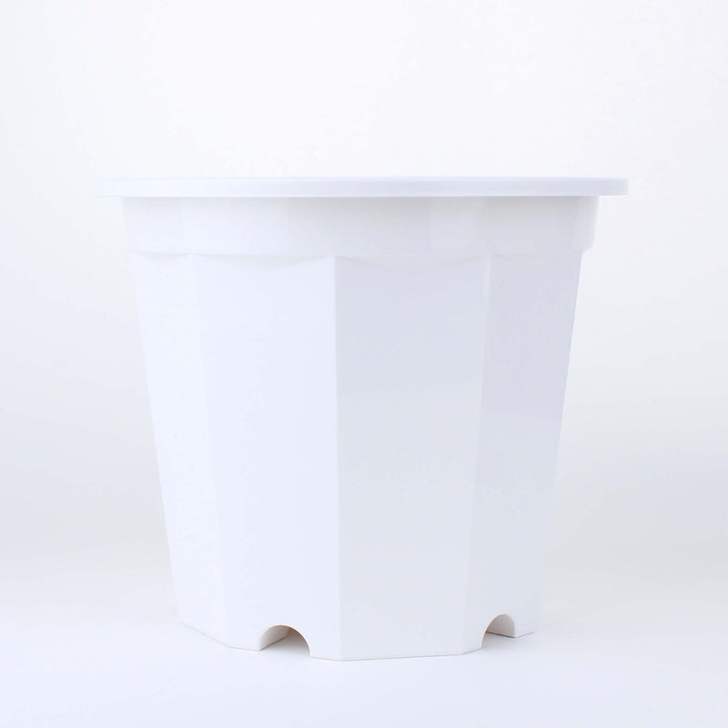 White Decagonal Planter Pot