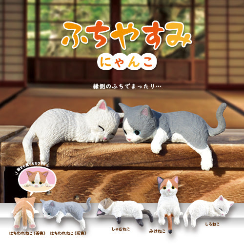 Collectible Cat Taking a Break Figurines Blind Box | Oomomo