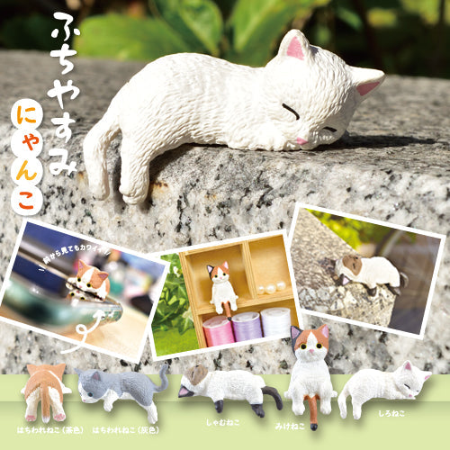 Collectible Cat Taking a Break Figurines Blind Box 