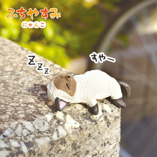 Collectible Cat Taking a Break Figurines Blind Box 