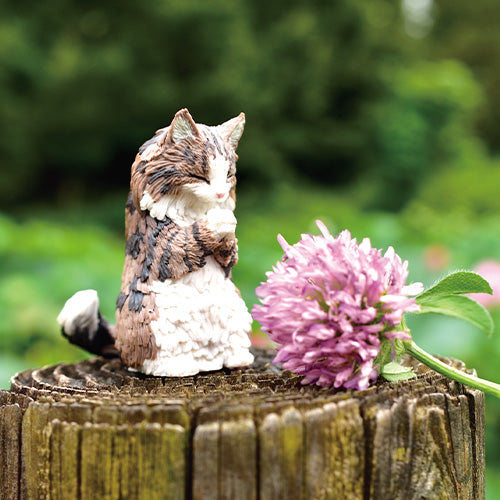 Gassho Takumi Cat Worship 5 Species (Norwegian Forest Cat, Exotic Shorthair, Calico, Scottish Fold, Russian Blue)