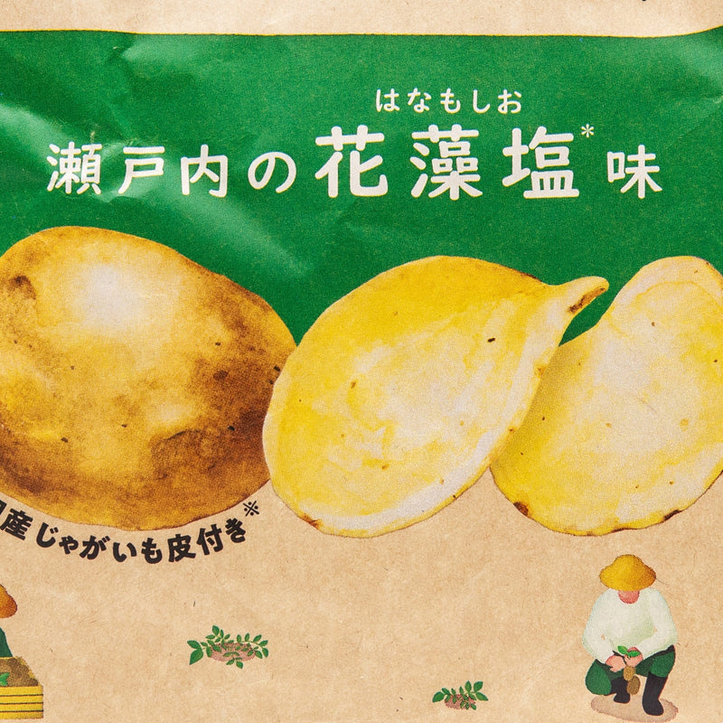 Potato Chips (Seaweed Salt/65 g/Calbee/Craft Calbee)