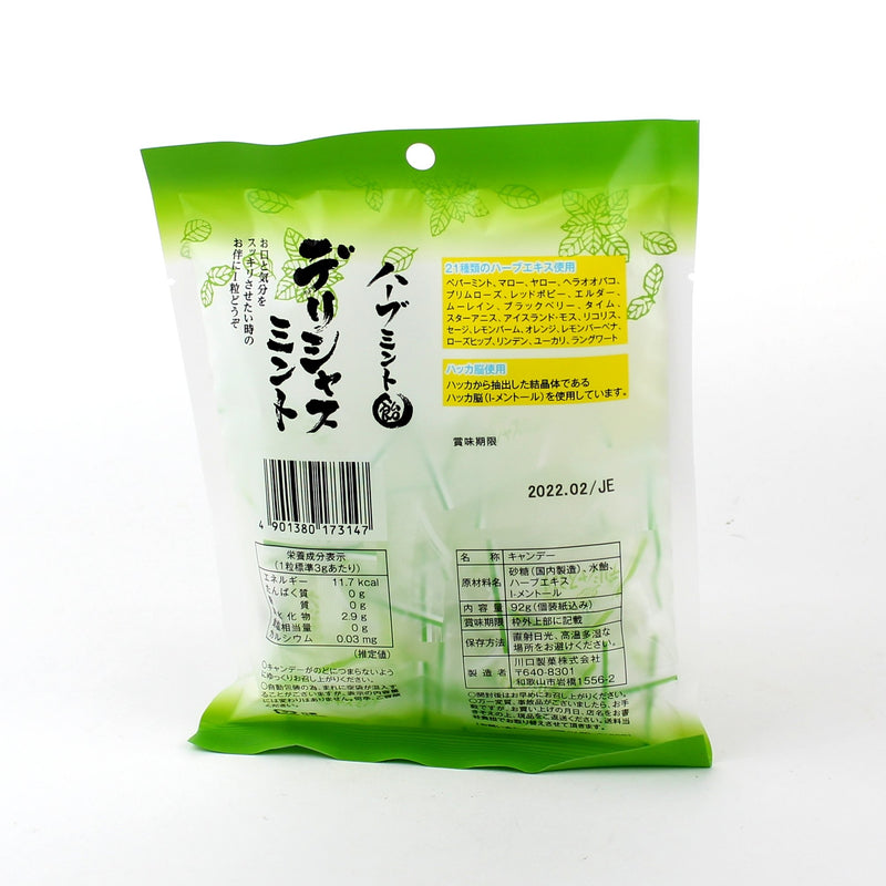 Kawaguchi Seika Mint Hard Candy (92 g)