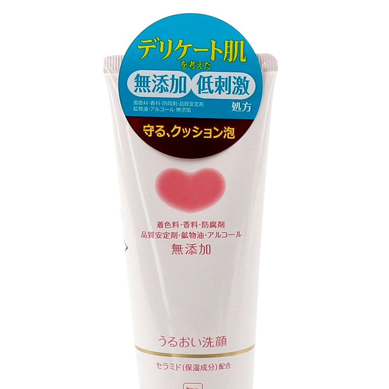 Facial Cleansing Foam (MOIST 3.9OZ(110G) / GYUNYU - NON ADDITIVE)