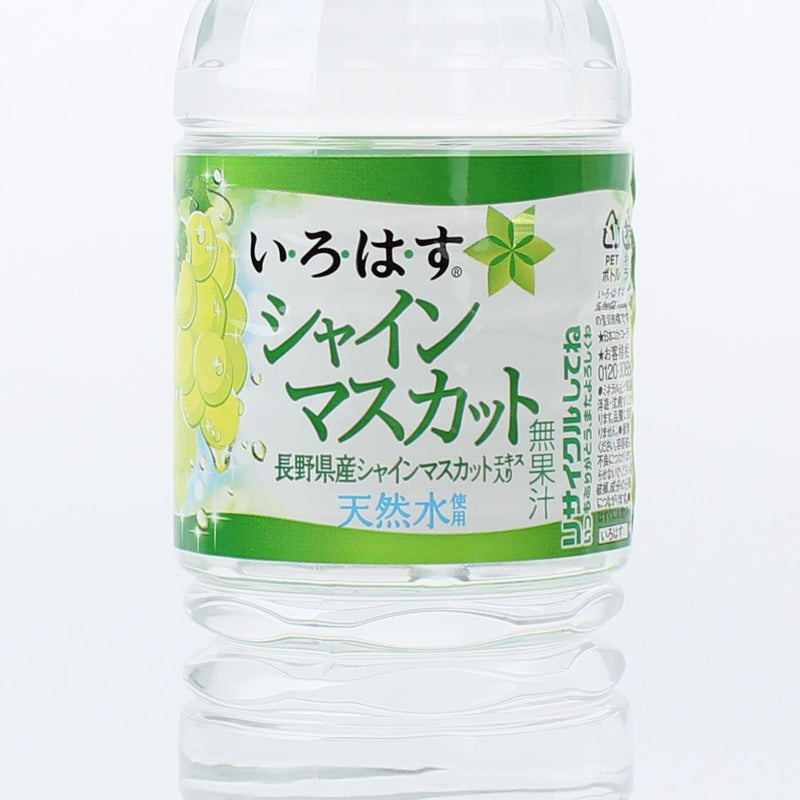 Natural Mineral Water (Muscat Grape/550 mL/Coca Cola/Irohasu)