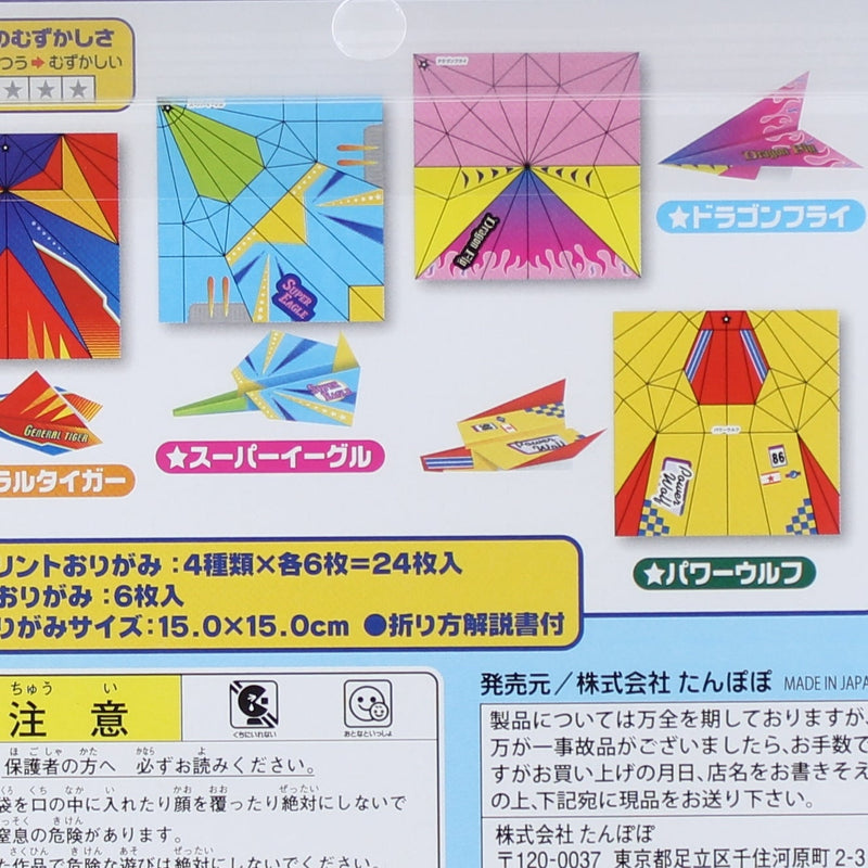 Origami with Instruction