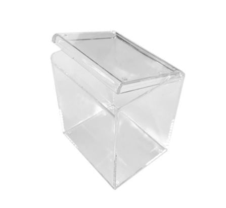 Tall Clear Storage Case with Lid