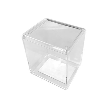 Tall Clear Storage Case with Lid