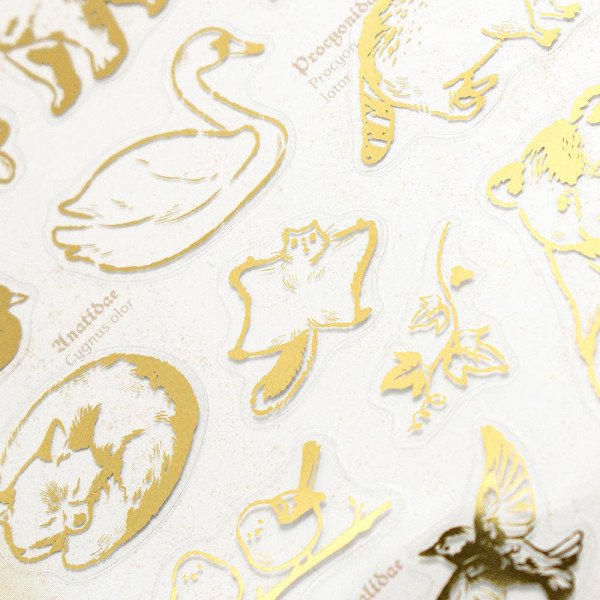 Stickers (Clear/Big/Foil Stamping/Animal Encyclopedia/Sheet: 16.5x9cm/SMCol(s): Brown,Beige)
