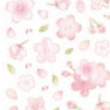 Stickers (Clear/Cherry Blossom/Foil Edge/Sheet: 19x7.5cm/Clothes Pin/SMCol(s): Pink)
