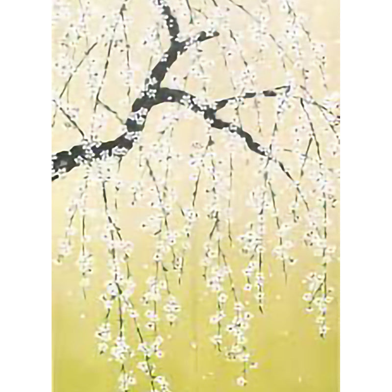 Noren Curtain (Japanese Style/Weeping Cherry Blossom Young Leaves/85x150cm/SMCol(s): Green,White)