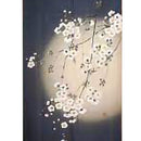 Noren Curtain (Japanese Style/Cherry Blossom at Night/85x150cm/SMCol(s): Navy,Pink)
