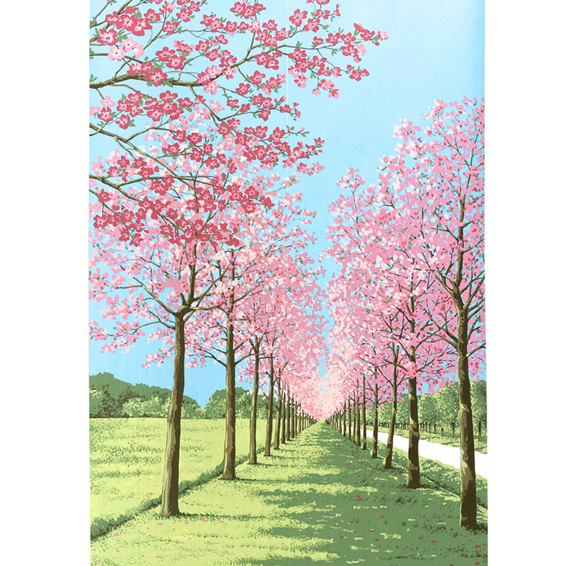 Noren Curtain (Japanese Style/Row of Cherry Blossom Trees/85x150cm/SMCol(s): Pink,Green,Blue)