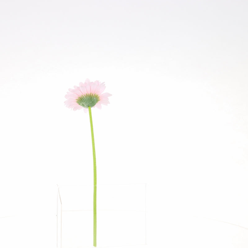 Artificial Daisy