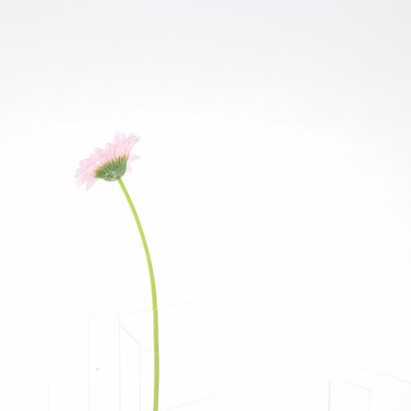 Artificial Daisy