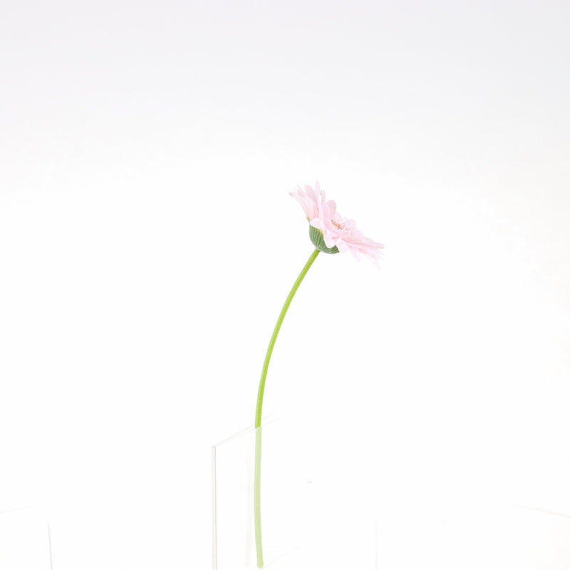 Artificial Daisy