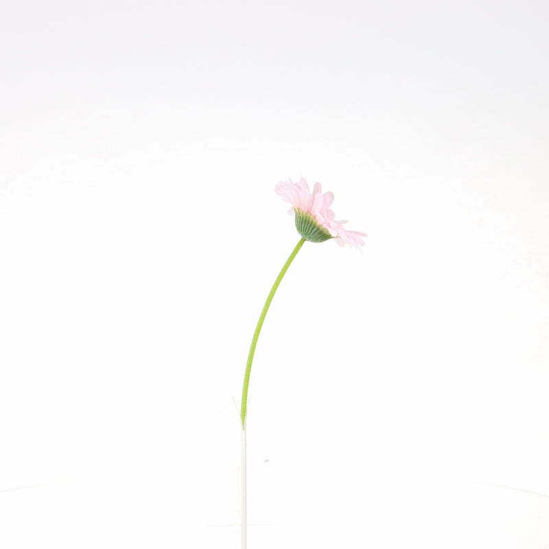 Artificial Daisy