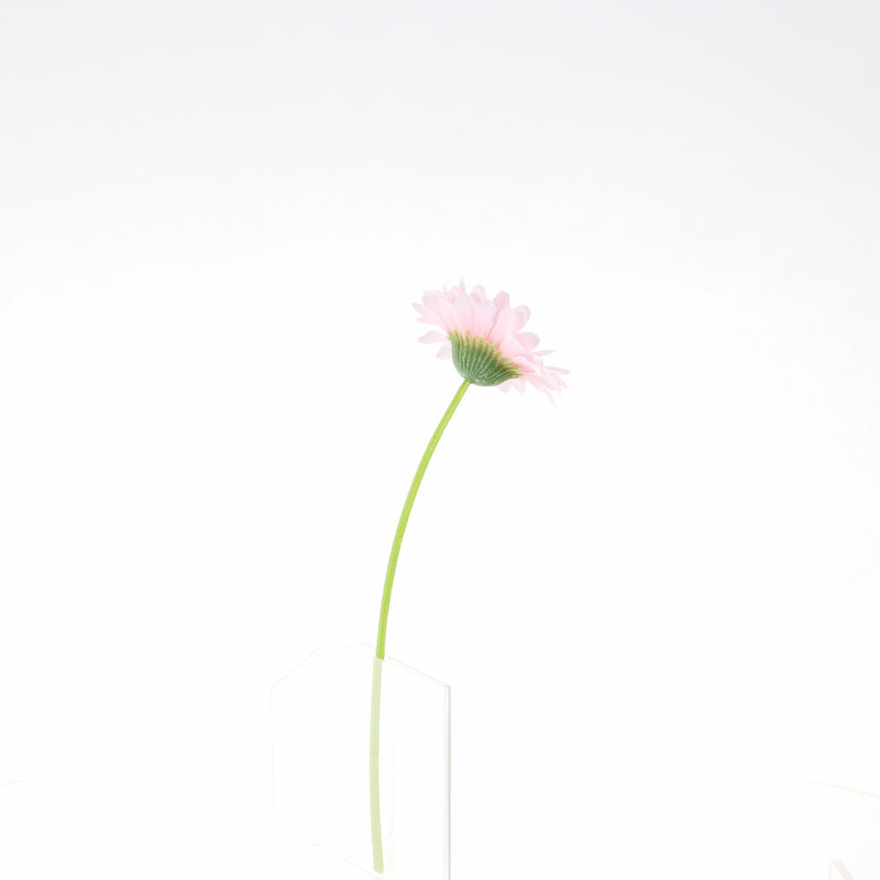 Artificial Daisy