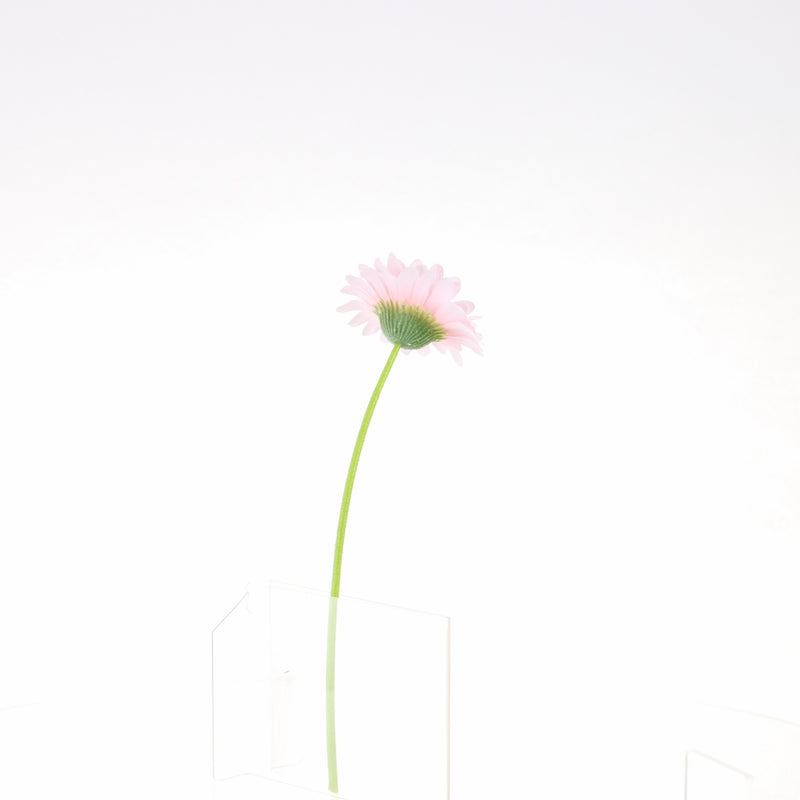 Artificial Daisy