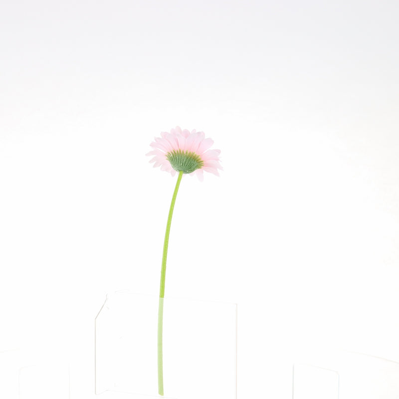 Artificial Daisy