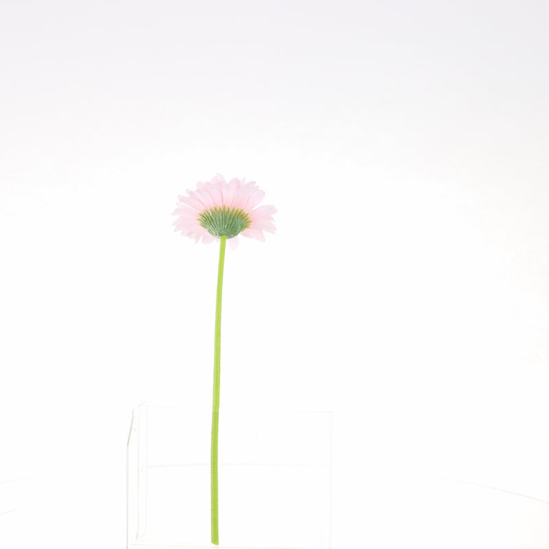 Artificial Daisy