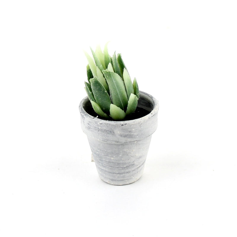 Succulent Plant Pot (4-Types/GN/GY/6.5-8.5cm)