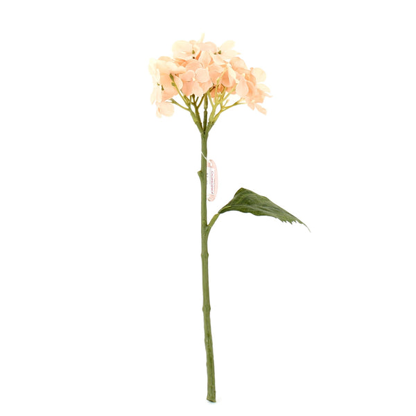 Hydrangea (BL*WT*PK/30cm)