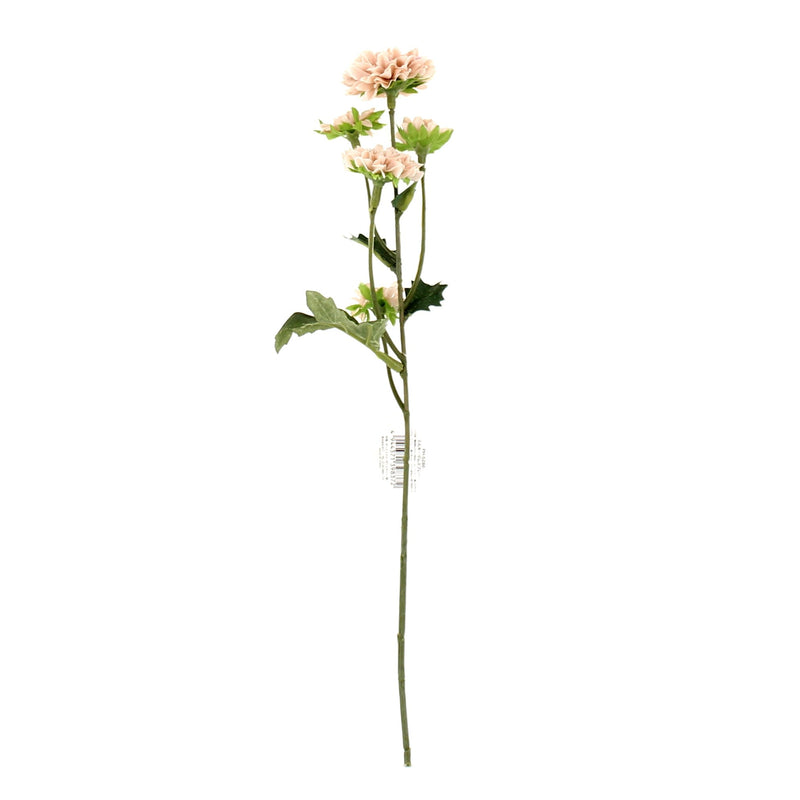 Chrysanthemum (WT*BL*BN/30cm)