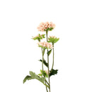 Chrysanthemum (WT*BL*BN/30cm)