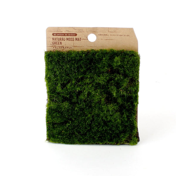 Artificial Moss Mat (GN/10x10cm)