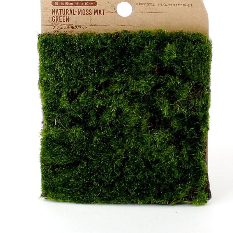 Artificial Moss Mat (GN/10x10cm)