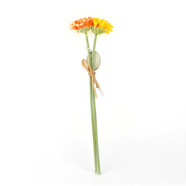 Daisy (Mini/2xCol)